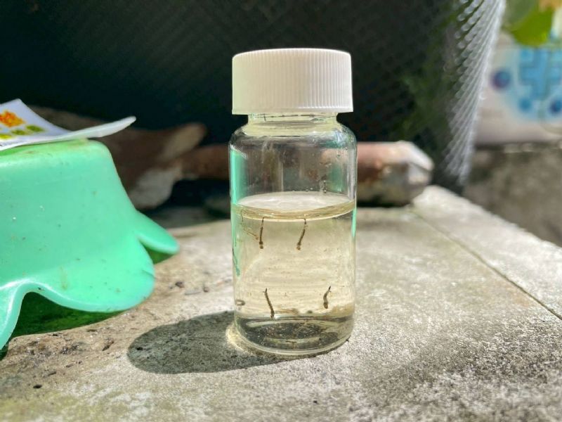 清除積水點及容器，減少病媒蚊孳生